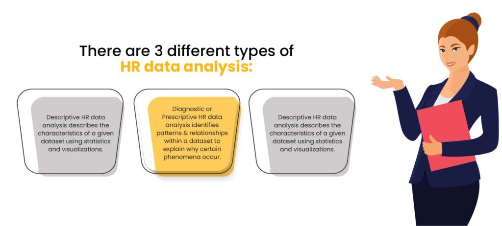 Types of HR data analysis